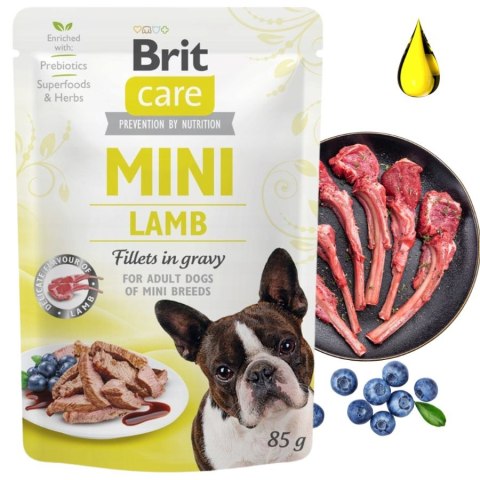Zestaw Brit Care Mini Pouch Lamb 6x85g