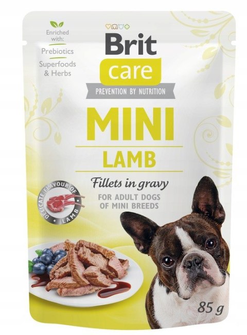 Zestaw Brit Care Mini Pouch Lamb 6x85g