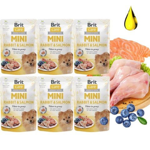 Zestaw - Brit Care Mini Pouch Rabbit & Salmon 6x85g małe rasy toy dog