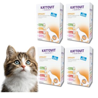 Zestaw KATTOVIT MULTIPAK PAKIET MIESZANY URINARY 48x85g