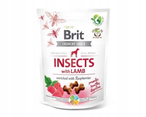 BRIT CARE CRUNCHY CRACKER INSECT & LAMB 200g