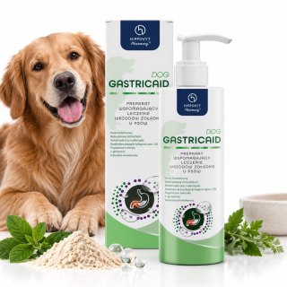 HippoVet Pharmacy GastricAid Dog 250 ml - wsparcie żołądka i jelit psa