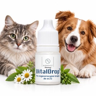 HippoVet Pharmacy VitalDrop 5 ml - regeneracyjne krople do oczu dla zwierząt
