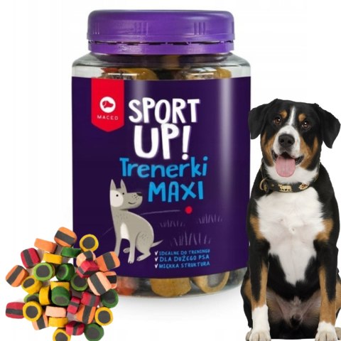 MACED SPORT UP! TRENERKI MAXI 300 G