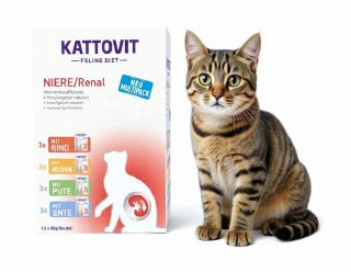 PAKIET KATTOVIT NIERE RENAL KARMA DLA KOTÓW MIX SMAKÓW 60x85g