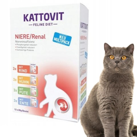 PAKIET KATTOVIT NIERE RENAL KARMA DLA KOTÓW MIX SMAKÓW 60x85g