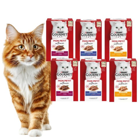 PURINA GOURMET MON PETIT MIX SMAKÓW DLA KOTA 36x50g