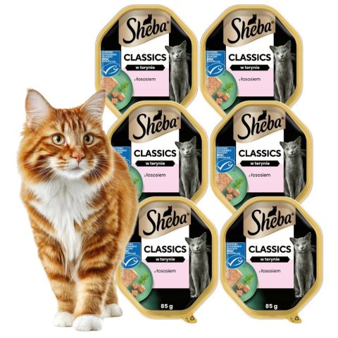 SHEBA Classics Łosoś w Pasztecie 4+2 85 g (6 szt)