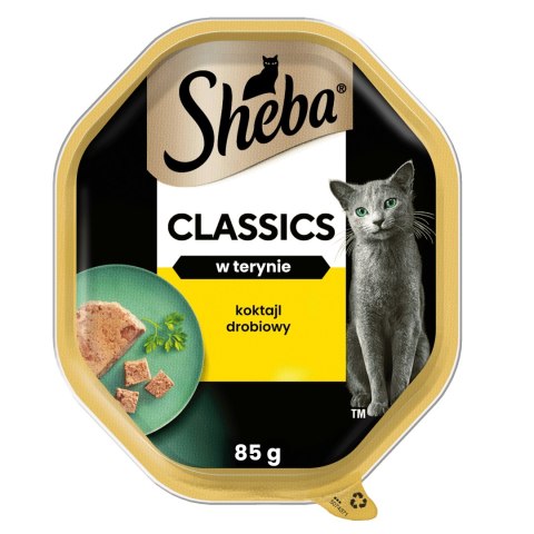 Sheba CLASSIC w terynie Koktail Drobiowy 22x85g karma dla kota tacka
