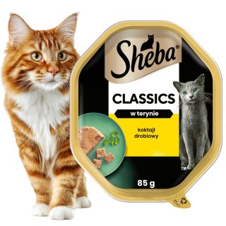 Sheba CLASSIC w terynie Koktail Drobiowy 85g karma dla kota tacka