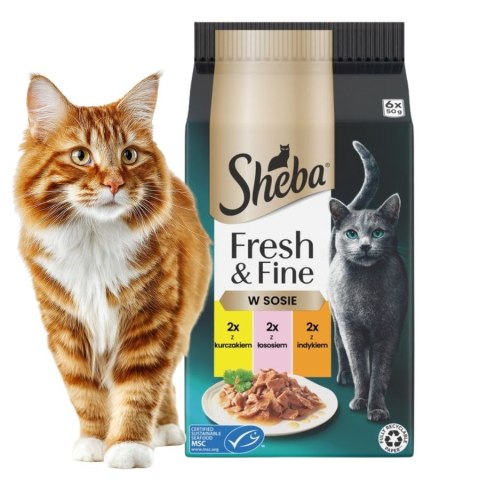 Sheba Fresh & Fine Saszetki 6x50g W SOSIE Kurczak Łosoś Indyk