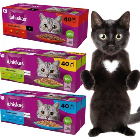 Whiskas Mix Smaków 3 boxy 40x85g Klasyczne Posiłki Rybne przysmaki