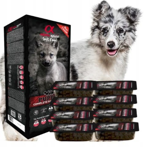 ZESTAW Alpha Spirit PUPPIES dla szczeniąt tacka 9x200G karma półmiękka