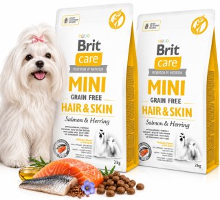 ZESTAW Brit Care Mini Hair Skin 2X2 kg łosoś karma sucha dla małych psów