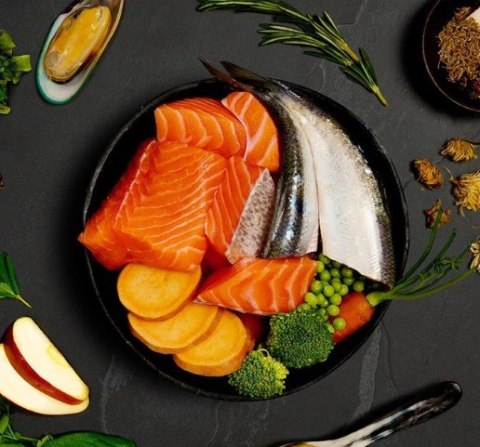 ZESTAW Canagan Salmon & Herring 12X400g Karma Mokra dla Psa Bezzbożowa