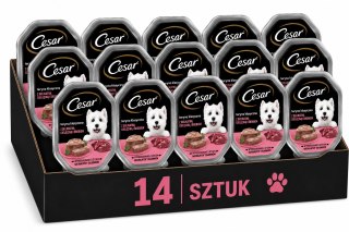 ZESTAW Cesar Pasztet Karma Mokra dla Psa Cielęcina Drób 14x150g