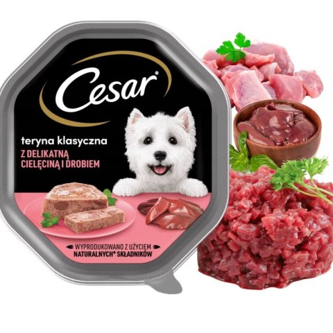 ZESTAW Cesar Pasztet Karma Mokra dla Psa Cielęcina Drób 14x150g