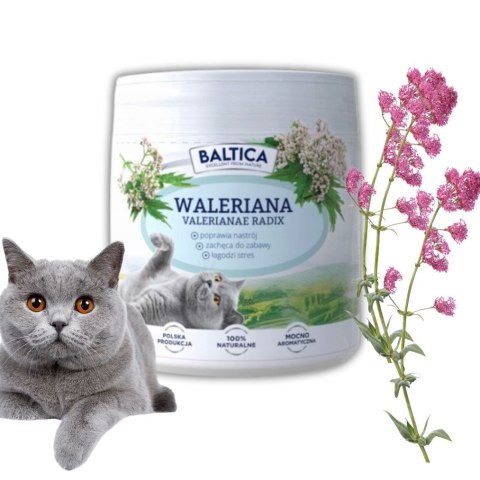 Zestaw Baltica Waleriana dla kota 2x50g na dobry humor depresję u kota