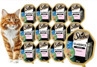 Zestaw SHEBA Classics Łosoś w Pasztecie 12x85 g