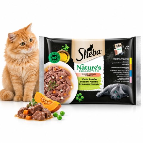 Zestaw SHEBA Nature's Collection Wybór Smaków saszetka 44x85g Z DYNIĄ