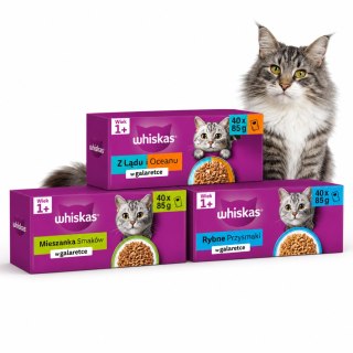 Zestaw WHISKAS w galaretce Mix Smaków 120x85g saszetki dla kota duży zapas