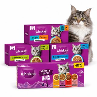 Zestaw WHISKAS w galaretce Mix Smaków 160x85g saszetki dla kota duży zapas