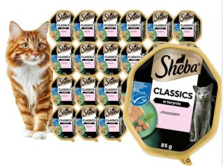 ZestawSHEBA Classics Łosoś w Pasztecie 22x85 g