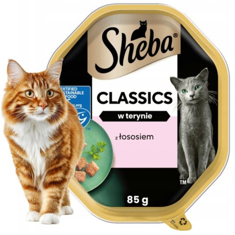 ZestawSHEBA Classics Łosoś w Pasztecie 22x85 g