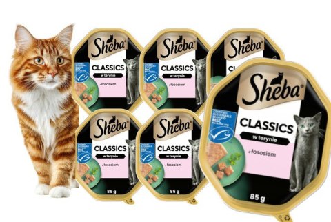ZestawSHEBA Classics Łosoś w Pasztecie 6x85 g