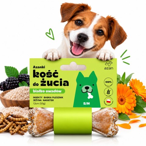 AZANKI ZESTAW 4 KOŚCI DO ŻUCIA Z INSEKTAMI