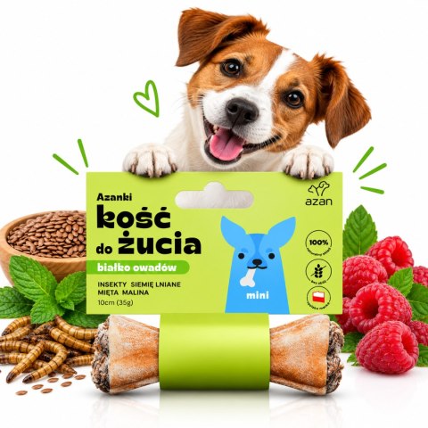 AZANKI ZESTAW 4 KOŚCI DO ŻUCIA Z INSEKTAMI