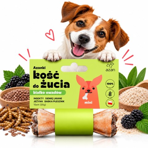 AZANKI ZESTAW 4 KOŚCI DO ŻUCIA Z INSEKTAMI