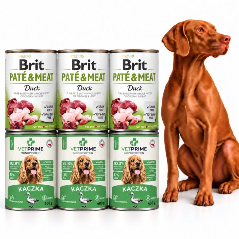 BRIT PATE MEAT DUCK VETPRIME MONO KACZKA 6X400 PAKIET PRÓBNY