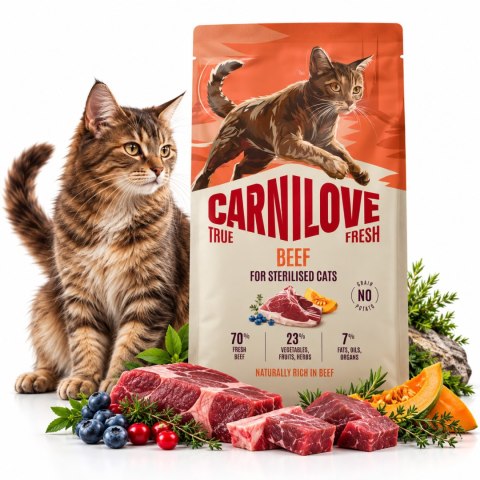 CARNILOVE CAT TRUE FRESH BEEF STERILISED 400g