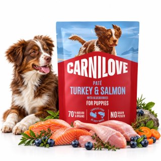CARNILOVE DOG POUCH TURKEY&SALMON PUPPIES 300g