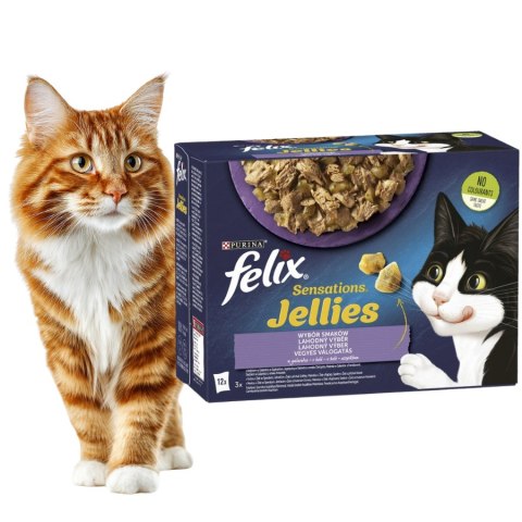 Felix jellies karma mokra mix smaków 12 x85 g
