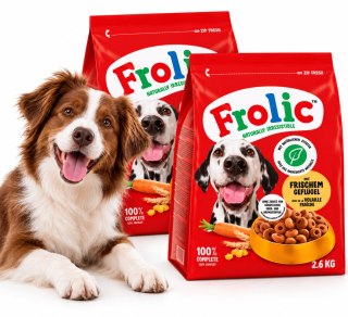 Frolic 2x2,6kg wołowina i warzywa karma sucha dla psa