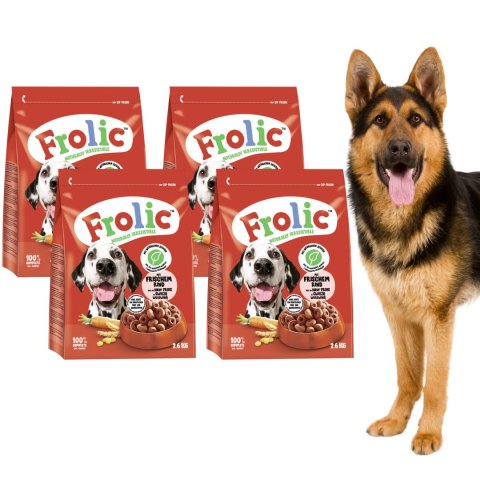Frolic 4x2,6kg wołowina i warzywa karma sucha dla psa 10,4