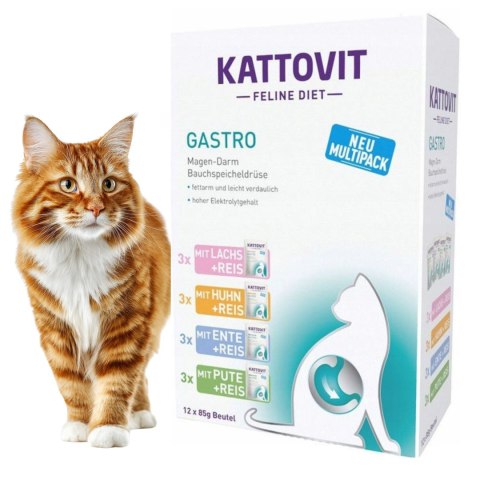 PAKIET Kattovit Gastro 48x85g karma weterynaryjna dla kota na żołądek jelita MIX