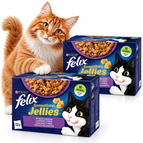Purina Felix jellies karma mokra dla kota w galaretce mix smaków 24x85 g