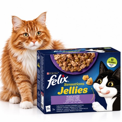 Purina Felix jellies karma mokra dla kota w galaretce mix smaków 60x85 g