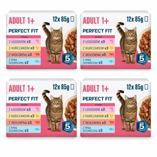 ZESTAW Perfect Fit Adult 1+ Mix 48x85g Karma Mokra dla Kota Saszetki w Sosie