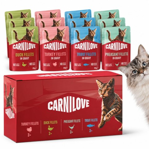 Zestaw CARNILOVE CAT POUCH MULTIPACK 12X85G + przysmaki kurczak 3x50g