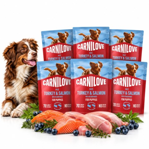 Zestaw - CARNILOVE DOG POUCH TURKEY&SALMON PUPPIES 6x300g