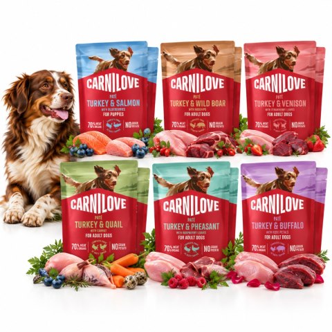 Zestaw testowy - Carnilove POUCH PATÉ 12x300g MIX SMAKÓW
