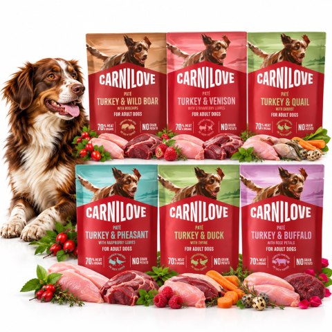 Zestaw testowy - Carnilove POUCH PATÉ 12x300g MIX SMAKÓW