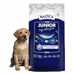 Baltica Junior Hypoallergenic LARGE 12kg Karma dla juniora z łososiem