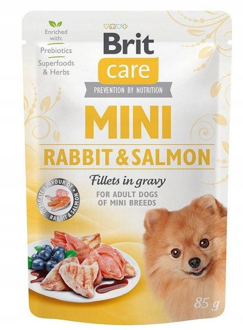 "Brit Care Mini Pouch Rabbit & Salmon 85g".