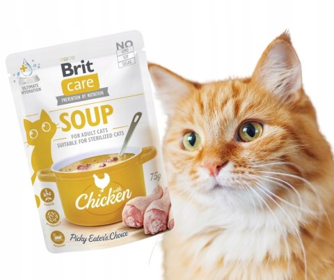 Brit Chicken SOUP Mokra karma dla kota 75g zupa z kurczaka rosołek