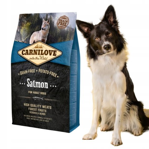CARNILOVE dog SALMON GRAIN FREE 4kg karma sucha dla psa łosoś